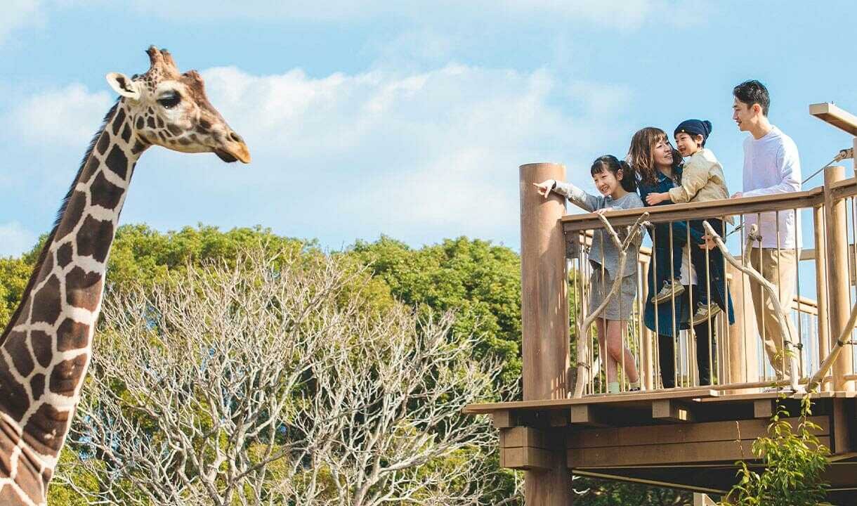 🏞️ 도요하시 종합 동식물 공원 논호이 파크 (도요하시 소고 도쇼쿠부츠 코엔 논호이 파쿠) 이미지 1